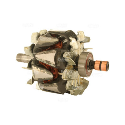 Rotor, alternador