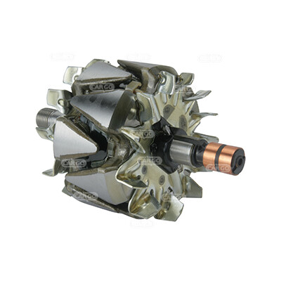 Rotor, alternador