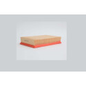 Filtro de ar STEP FILTERS AE102