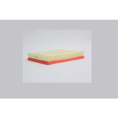 Filtro de ar STEP FILTERS AE24751