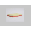 Filtro de ar STEP FILTERS AE3155
