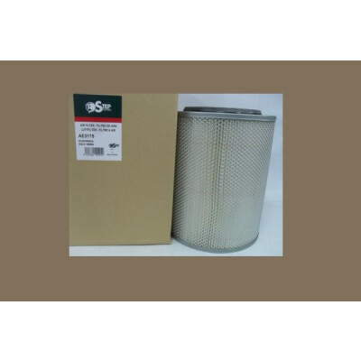 Filtro de ar STEP FILTERS AE3175