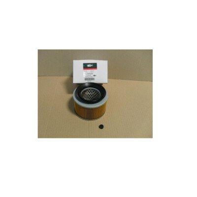 Filtro de ar STEP FILTERS AE36509