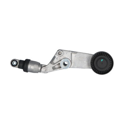 Tensor de correia, correia trapezoidal estriada INA 534 0016 10