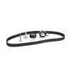 Conjunto de correia dentada INA 530 0117 10