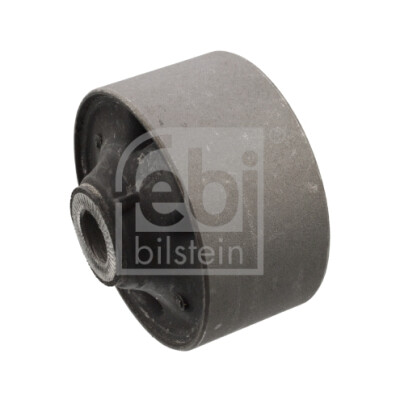 Suspensão, Braço oscilante FEBI BILSTEIN 101933