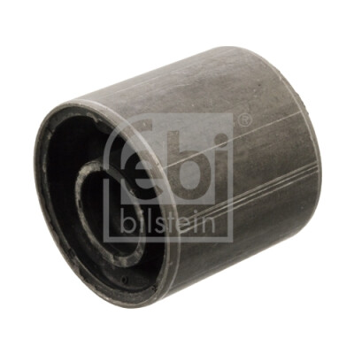 Suspensão, Braço oscilante FEBI BILSTEIN 102981