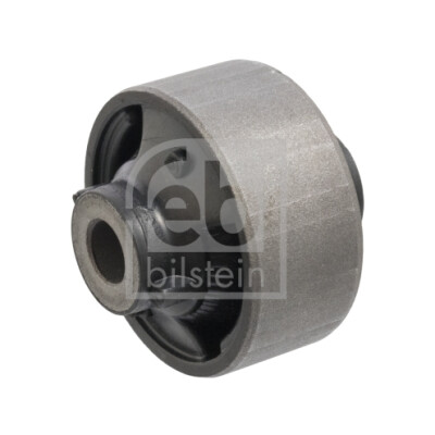 Suspensão, Braço oscilante FEBI BILSTEIN 106355