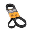 Correia V-poli V ContiTech 6 PK 780