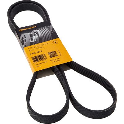 Correia V-poli V ContiTech 6 PK 1613