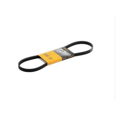 Correia trapezoidal ContiTech 4PK 855 Poly V