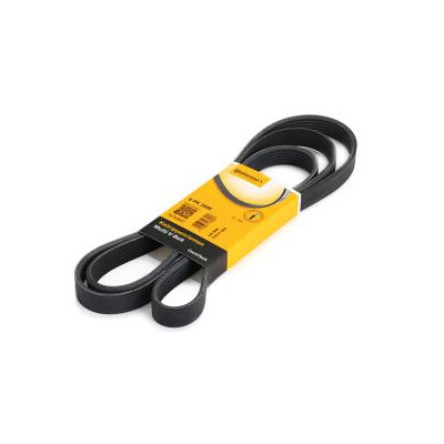 Correia V-poli V ContiTech 6 PK 2080