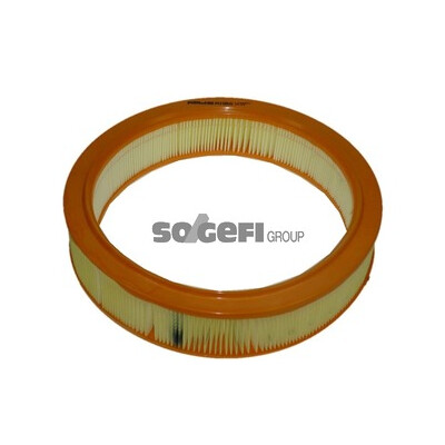 Filtro de ar PURFLUX A1106
