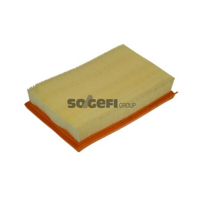Filtro de ar PURFLUX A1109