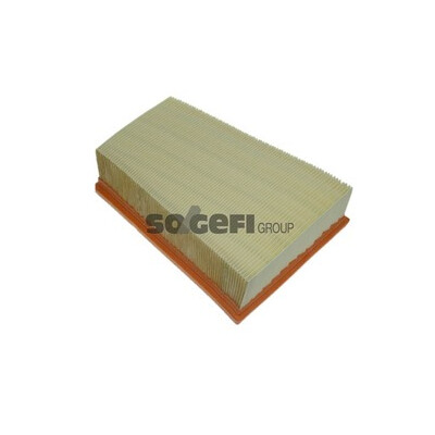 Filtro de ar PURFLUX A1196
