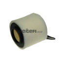 Filtro de ar PURFLUX A1200