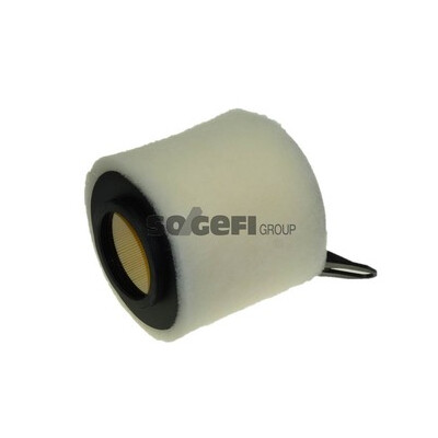 Filtro de ar PURFLUX A1200