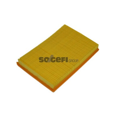 Filtro de ar PURFLUX A1225
