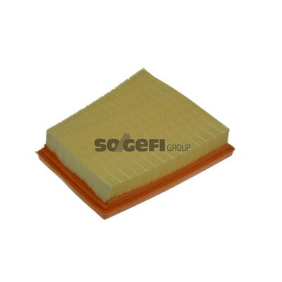Filtro de ar PURFLUX A1240
