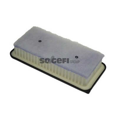 Filtro de ar PURFLUX A1251