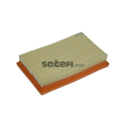 Filtro de ar PURFLUX A1253