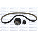 Conjunto de correias dentadas DOLZ SKD180IO