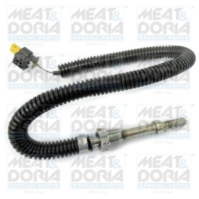Sensor, temperatura dos gases de escape