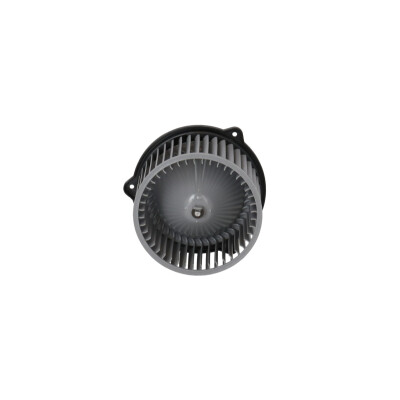 Ventilador do habitáculo