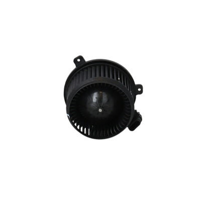 Ventilador do habitáculo