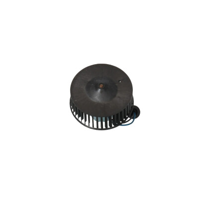Ventilador do habitáculo