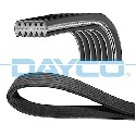 Correia nervurada DAYCO 6 DPK 1215 em V
