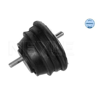 Montagem, motor MEYLE 300 221 1600