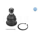 Articulação de suspensão/guia