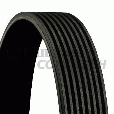 Correia V ContiTech 8PK1688 Poly V