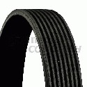 Correia V-poli V ContiTech 8 PK 1230