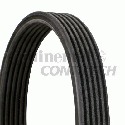 Correia Poly V ContiTech 6 DPK 1853