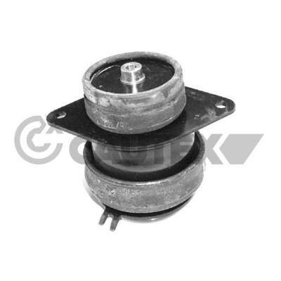 Suporte, motor CAUTEX/FACET 10471
