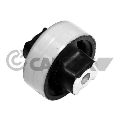 Suspensão, Braço oscilante CAUTEX/FACET 11154