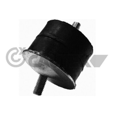 Suporte, motor CAUTEX/FACET 20300