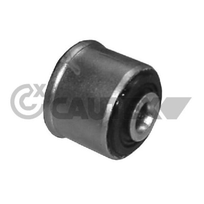 Suspensão, Braço oscilante CAUTEX/FACET 21283