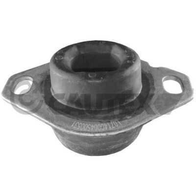 Suporte, motor CAUTEX/FACET 30162