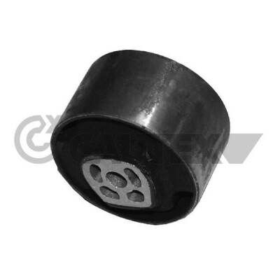 Suporte, motor CAUTEX/FACET 31512
