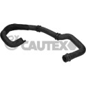 Tubo de radiador Cautex/Facet 36443