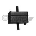 Suporte, motor CAUTEX/FACET 80031
