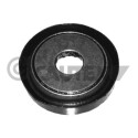 Rolamento de rolos, coluna de amortecimento CAUTEX/FACET 80158