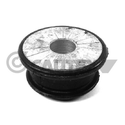 Suporte, motor CAUTEX/FACET 460166