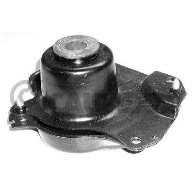 Suporte, motor CAUTEX/FACET 461038