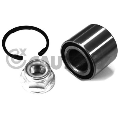 Kit de rolamento de roda CAUTEX/FACET 462601