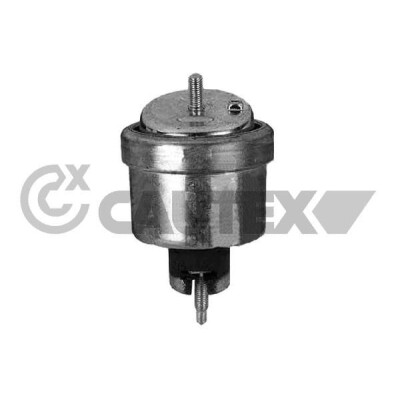 Suporte, motor CAUTEX/FACET 480493