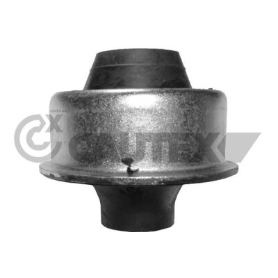 Suspensão, Braço oscilante CAUTEX/FACET 480810